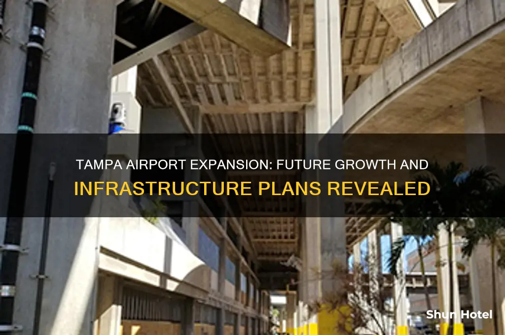 how big will tampa airport get