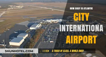 Atlantic City International Airport: Traffic, Wait Times, and Passenger Insights