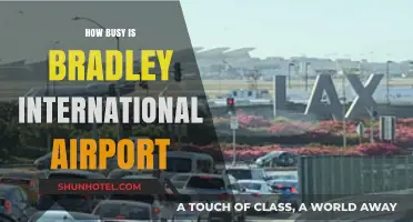 Exploring Passenger Traffic and Activity at Bradley International Airport