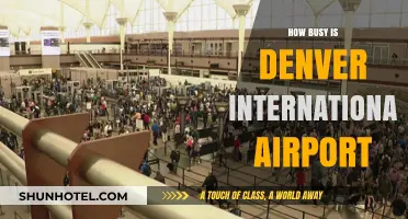 Denver International Airport: Unraveling the Hustle and Bustle of a Major Hub
