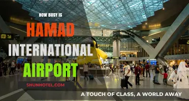Hamad International Airport: Unveiling the Buzz and Passenger Traffic Insights
