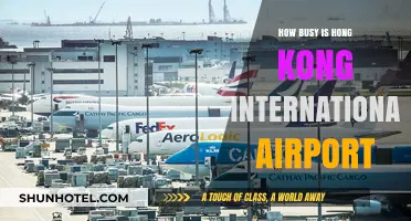Exploring Hong Kong International Airport's Bustling Passenger Traffic and Operations