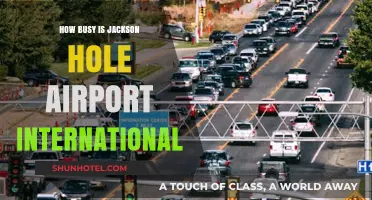Jackson Hole Airport: Unveiling Its Bustling International Traffic and Operations