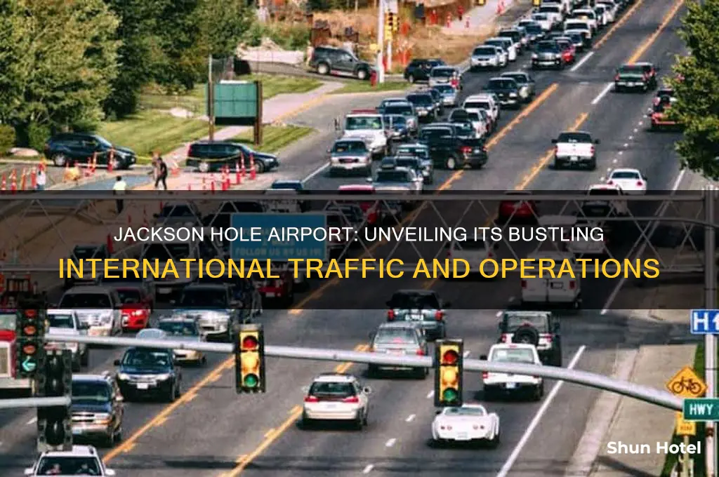 how busy is jackson hole airport international