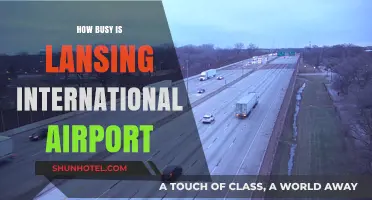 Exploring Passenger Traffic and Activity at Lansing International Airport