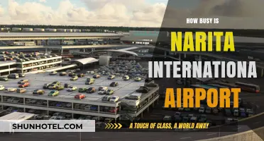 Narita International Airport: Exploring Passenger Traffic and Daily Operations