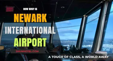 Newark International Airport's Traffic: How Busy Is It Really?