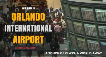 Orlando International Airport: How Busy Is It and What to Expect