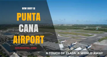 Punta Cana Airport: Managing High Traffic