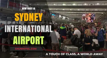 Sydney International Airport: Unveiling the Hustle and Bustle of Australia's Gateway