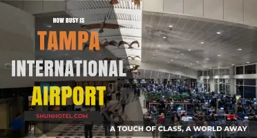 Tampa International Airport: How Busy Is It and What to Expect
