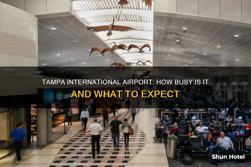 how busy is tampa international airport