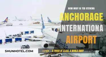 Exploring Ted Stevens Anchorage Airport's Bustling Activity and Traffic