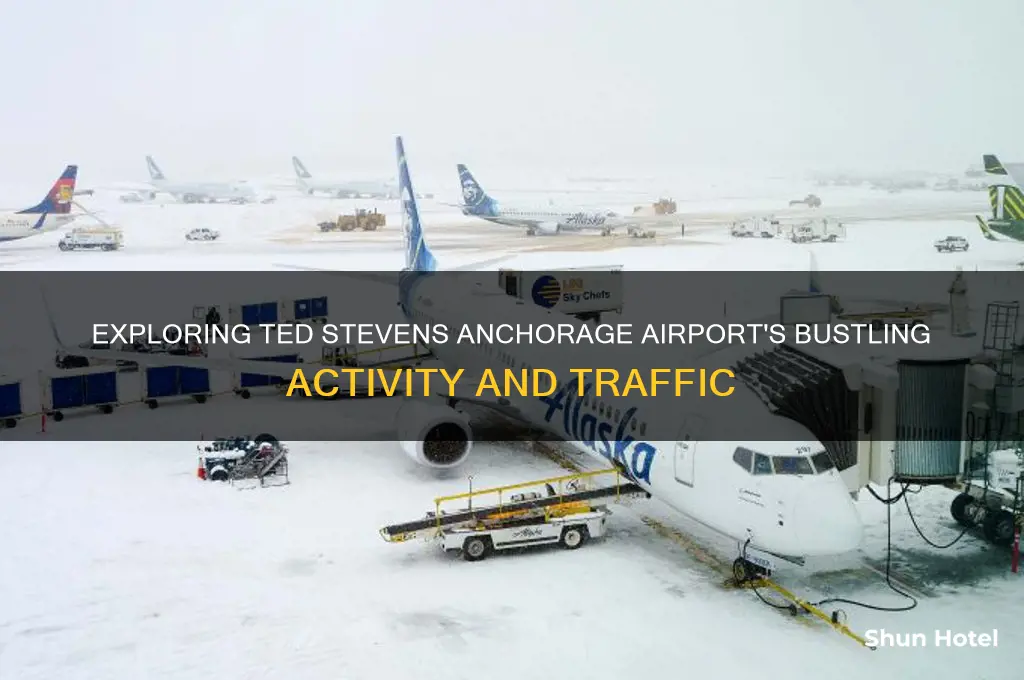 how busy is ted stevens anchorage international airport