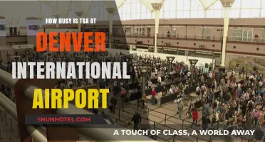 Navigating TSA Wait Times at Denver International Airport: What to Expect