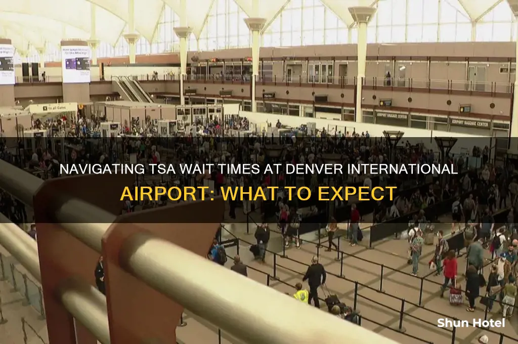 how busy is tsa at denver international airport