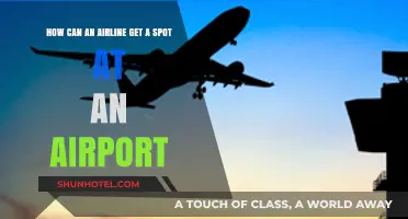 Airports and Airlines: The Complex Relationship