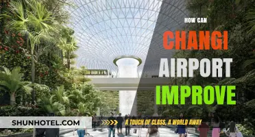 Changi Airport: Enhancing the World's Best Aviation Hub