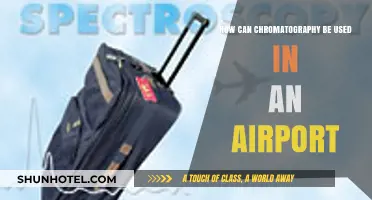 Chromatography's Role in Airport Security and Efficiency