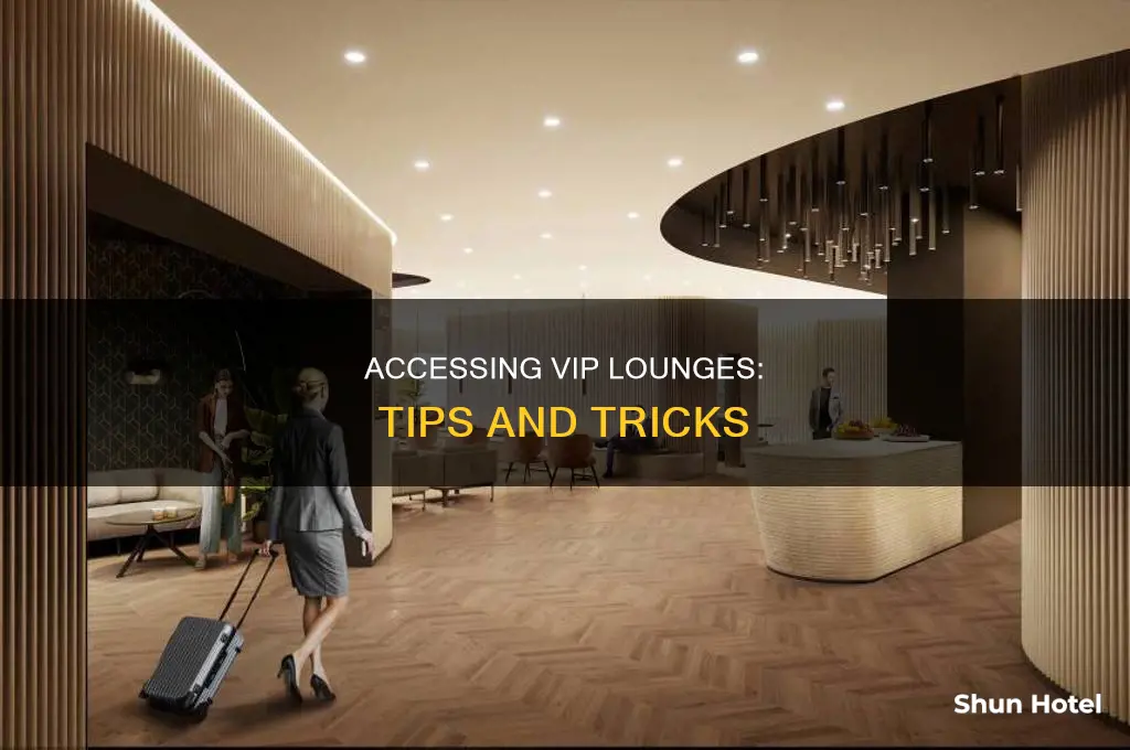 how can i access to the vip lounge in airports