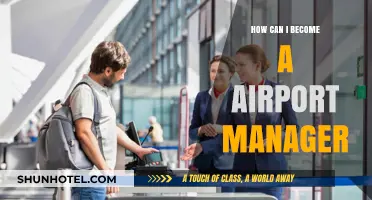 Strategies to Soar: Your Guide to Becoming an Airport Manager