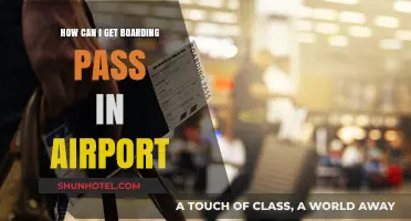 Boarding Pass Retrieval: A Guide for Air Travellers