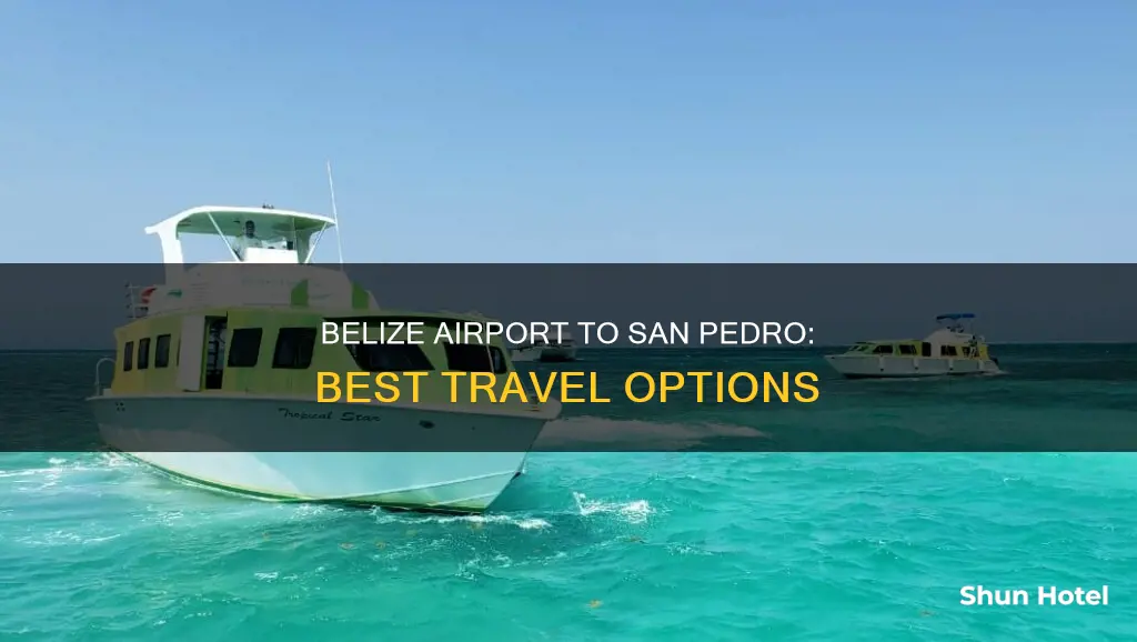 how can i get from belize airport to san pedro