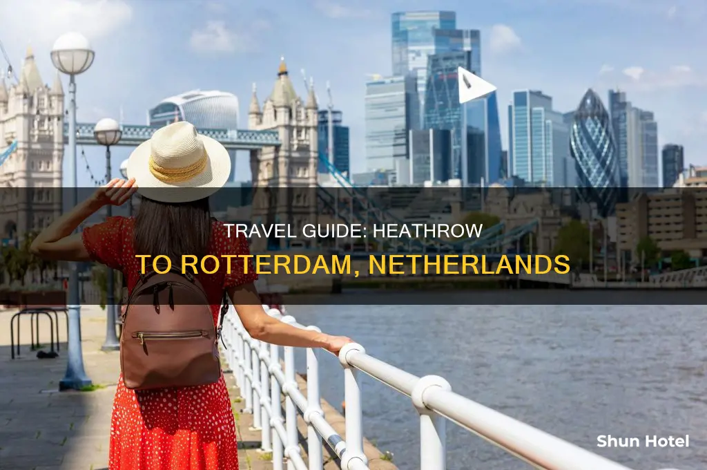 how can i get from heathrow airport to rotterdam netherlands