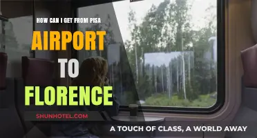 Travel Guide: Pisa Airport to Florence