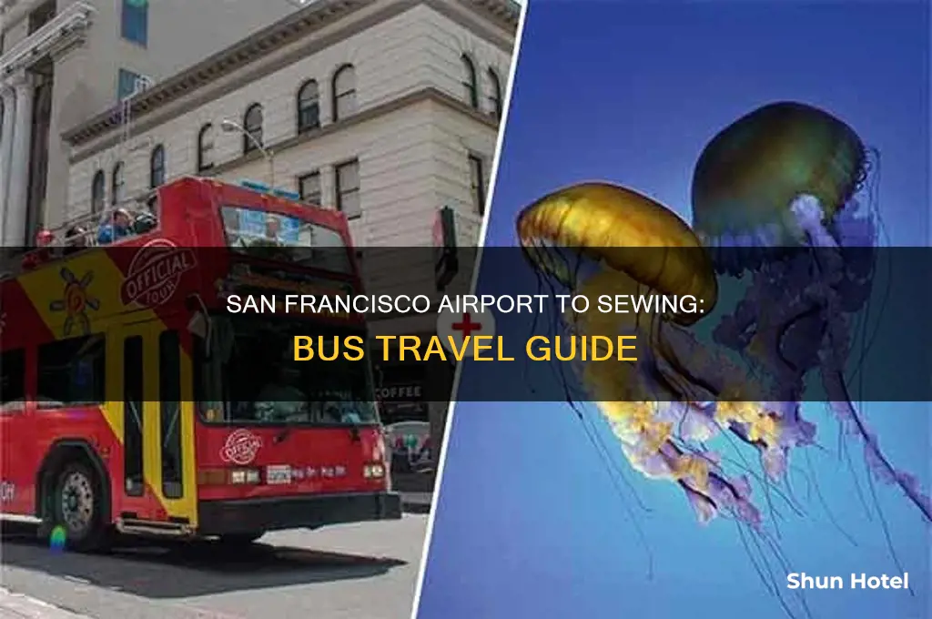 how can i get sewing san francisco bus from airport