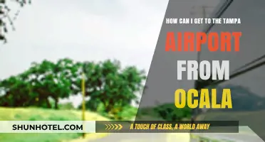 Ocala to Tampa Airport: Best Travel Options