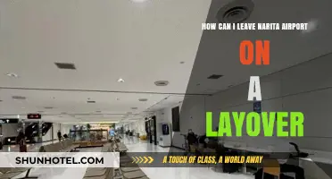 Exploring Narita Airport and Beyond on a Layover
