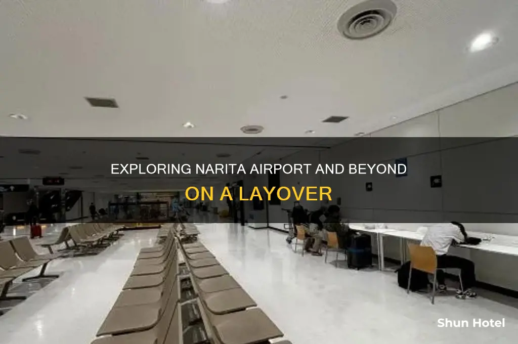 how can i leave narita airport on a layover