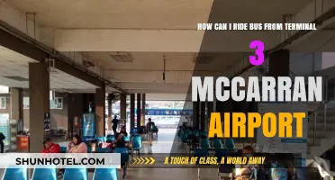 Navigating McCarran Airport: Bus Rides from Terminal 3