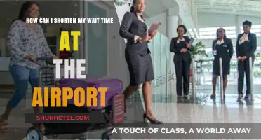 Efficient Travel: Reducing Airport Wait Times