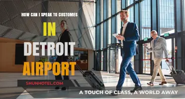 Navigating Customer Service at Detroit Airport