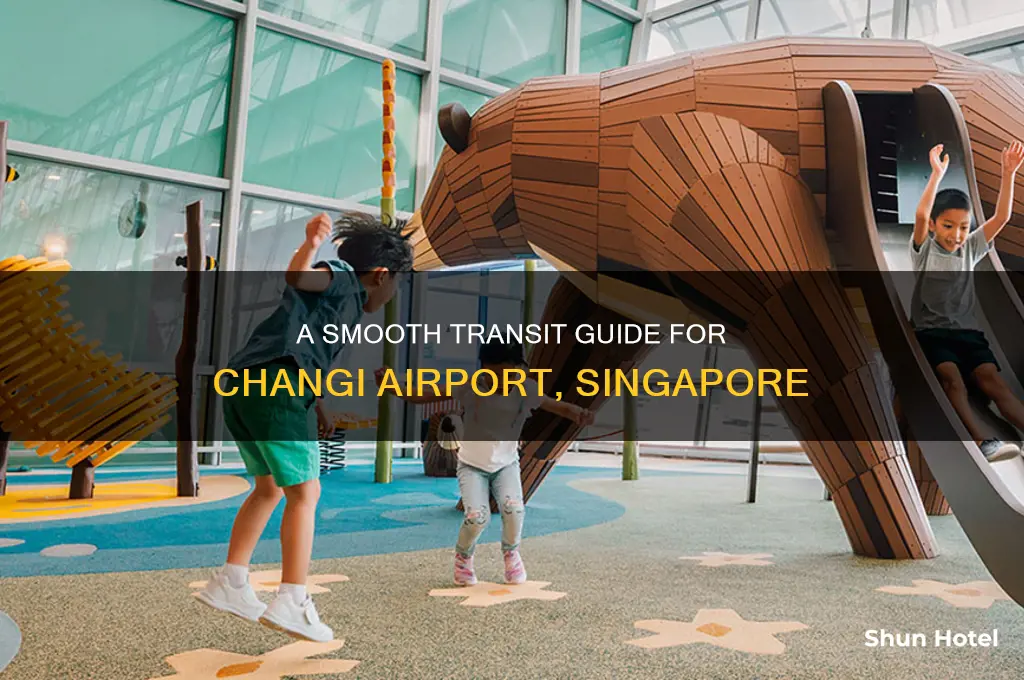 how can i transit singapore airport