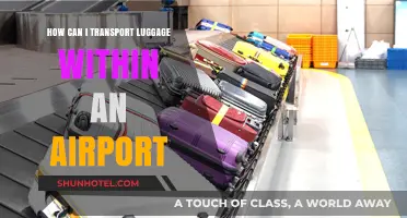 Navigating Airport Baggage: Efficient Transportation Tips