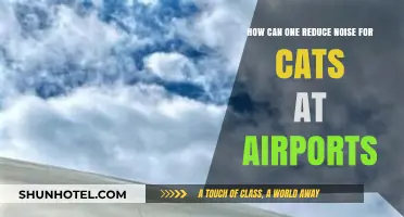 Minimizing Airport Noise: Keeping Cats Calm and Comfortable