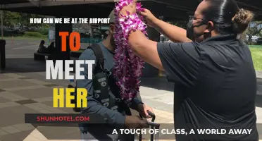 Arriving at the Airport to Greet Her