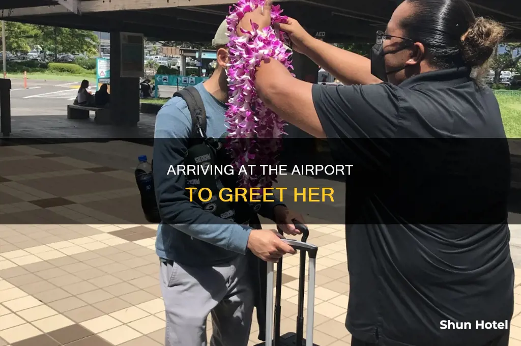 how can we be at the airport to meet her