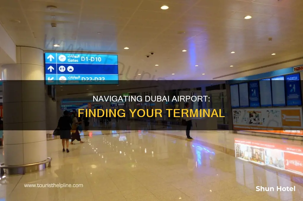 how can we move to terminal in dubai airport