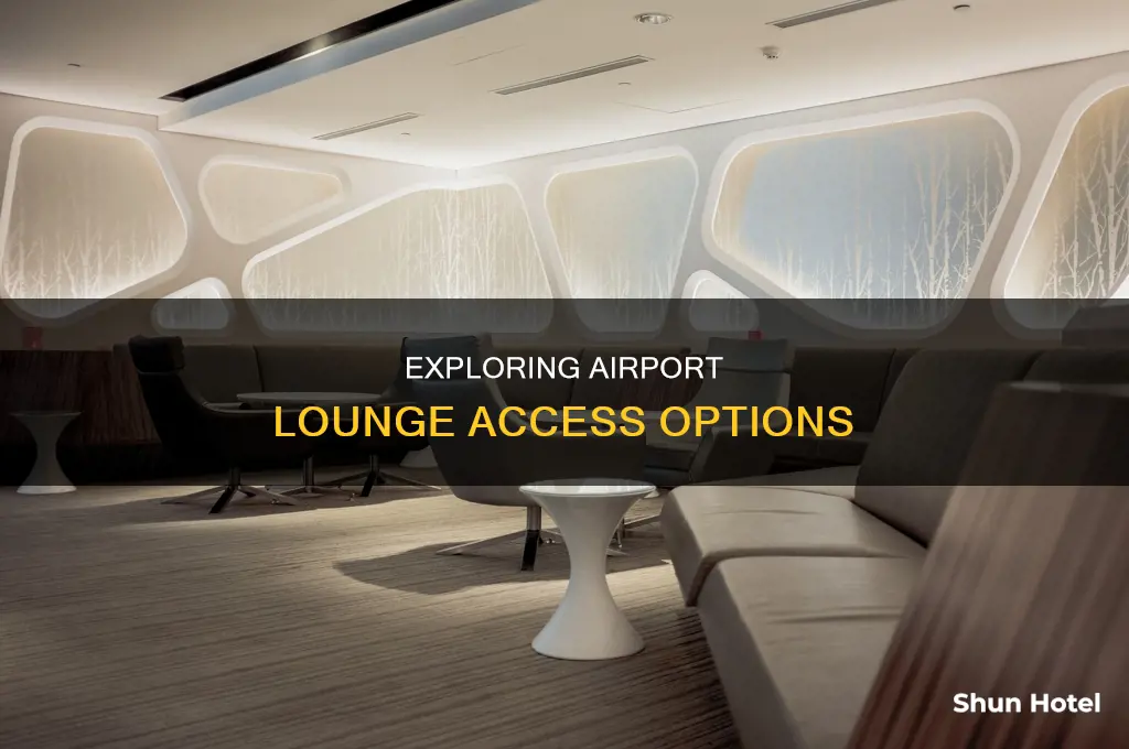 how can we pay lounges in airport