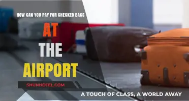 Smart Ways to Pay for Checked Bags at Airports