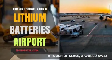 Airport Lithium Battery Check-In: Why the Restriction?