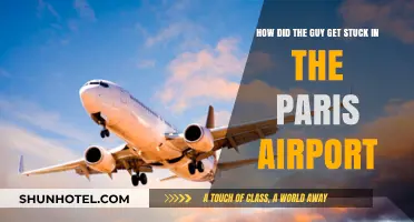 Stranded in Paris: The Bizarre Tale of an Airport Trap