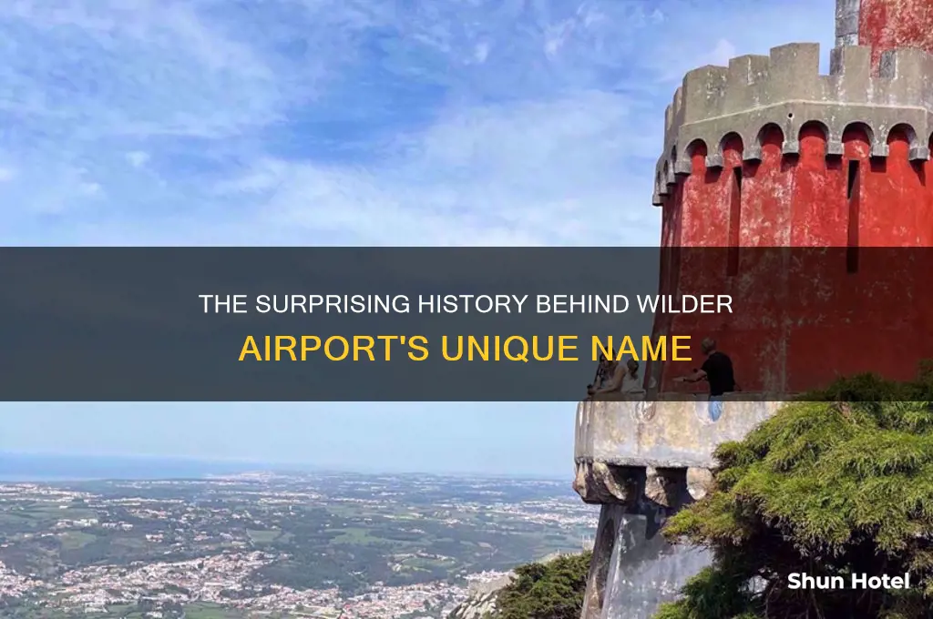 how did wilder airport get its