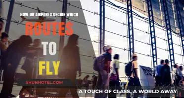 Strategic Skies: How Airports Choose Routes for Maximum Efficiency