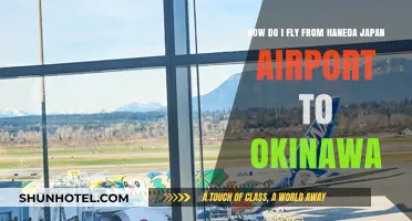 Fly from Haneda to Okinawa: Your Ultimate Travel Guide