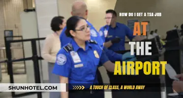 How to Land a TSA Job at the Airport: A Step-by-Step Guide